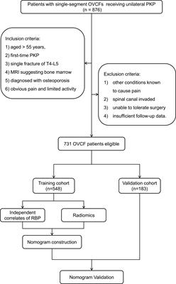 Preoperative prediction of residual back pain after vertebral augmentation for osteoporotic vertebral compression fractures: Initial application of a radiomics score based nomogram